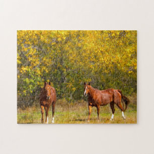 Puzzle Chevaux d'automne