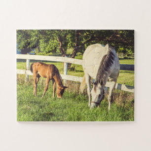 Puzzle Chevaux de lièvre gris et de poulain surdimension