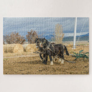 Puzzle Chevaux de mer et souffle - 1014 pièce