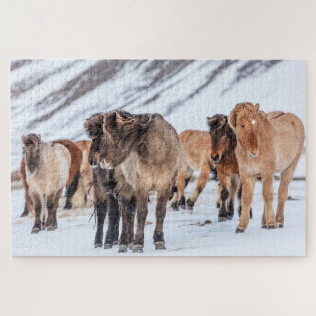 Puzzle Chevaux islandais dans les pâturages d'hiver près  (Horizontal)