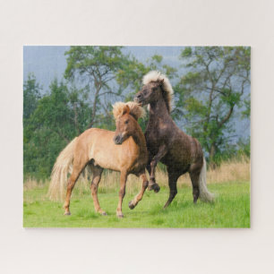 Puzzle Chevaux islandais Drôle Jouer Photo - Jigsaw
