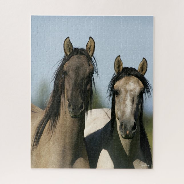 Puzzle Chevaux Kiger Mustang Se tenant debout (Vertical)