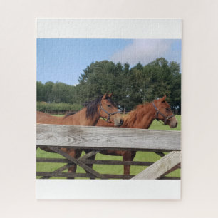 Puzzle Chevaux Majestueux Dans La Nature