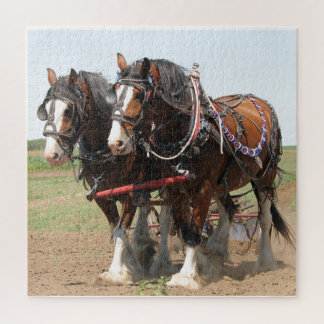 Puzzle Chevaux qui poussent