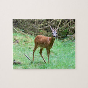 Puzzle Chevreuil mâle posant faune sauvage de la forêt na