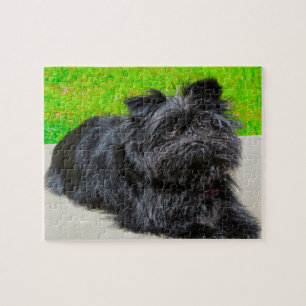 Puzzle Chien Affenpinscher de race pure.