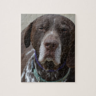Puzzle Chien allemand d'indicateur aux cheveux courts