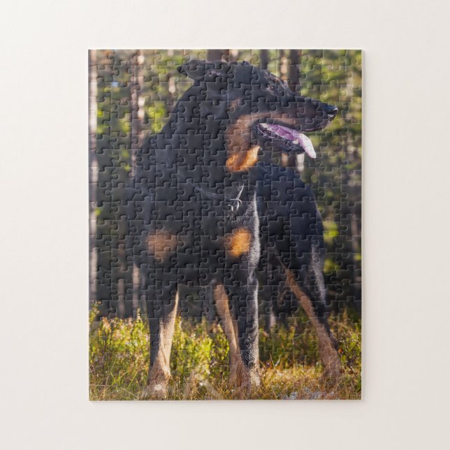 Puzzle Chien berger de Beauceron. (Vertical)