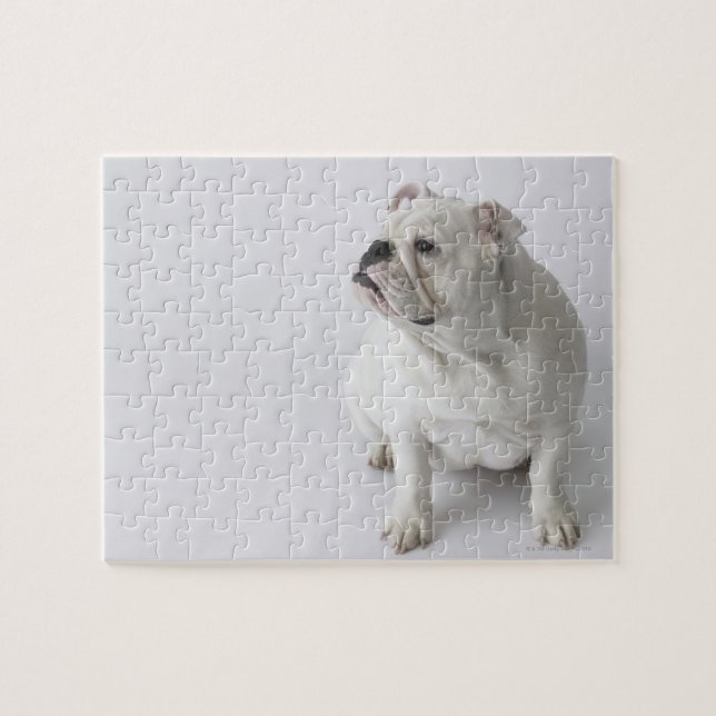 Puzzle Chien blanc (Horizontal)