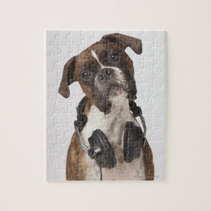 Puzzle chien boxer avec casque