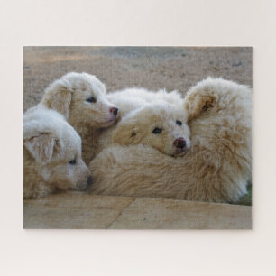 Puzzle Chien Chien Chien Chien Chien Chien Chien Chien Bl