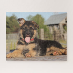 Puzzle Chien coquelicot allemand mignon