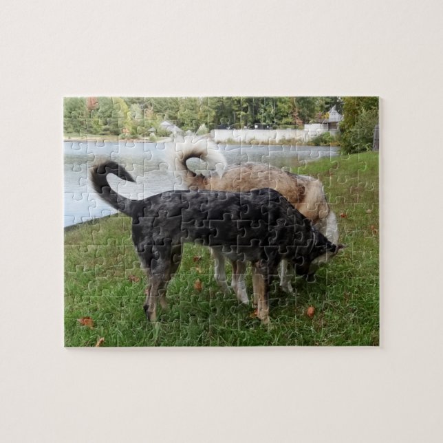 Puzzle Chien de Catahoula Leopard et Ausky Dog (Horizontal)