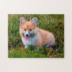 Puzzle Chien de Corgi.