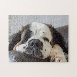 Puzzle Chien de Lazy Saint Bernard