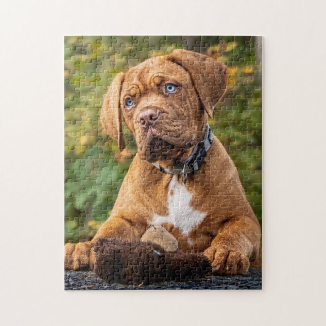 Puzzle Chien de marionnettes de Bordeaux (Vertical)
