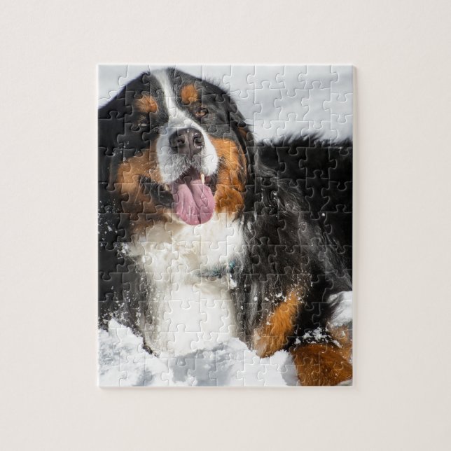 Puzzle Chien de montagne de Bernese heureux dans la neige (Vertical)