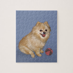 Puzzle Chien de Pomeranian avec la boule