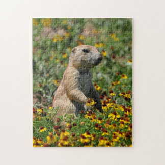 Puzzle Chien de prairie