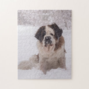 Puzzle Chien de Saint Bernard dans la neige