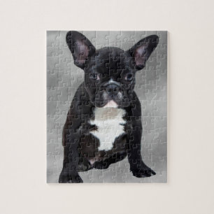 Puzzle Chien de taureau français assis aquarelle peinture