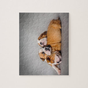 Puzzle Chien de taureaux anglais dormant