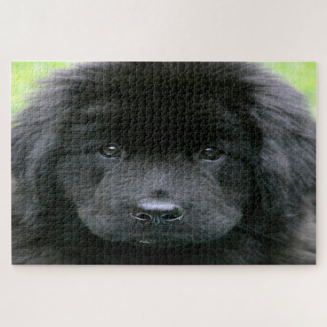 Puzzle Chien de Terre-Neuve. (Horizontal)
