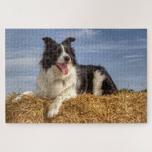 Puzzle Chien d'élevage sur Hay Bale 1014 Piece Jigsaw Puz (Horizontal)