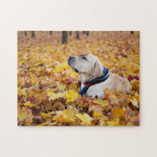 Puzzle Chien du Labrador mignon dans les feuilles d'autom