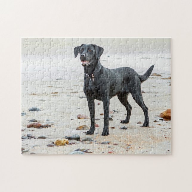 Puzzle Chien du Labrador noir sur la plage (Horizontal)