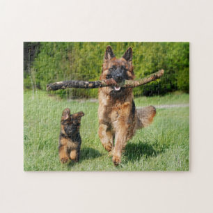 Puzzle Chien et chiot allemands gonflés