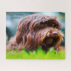 Puzzle Chien Havanais.