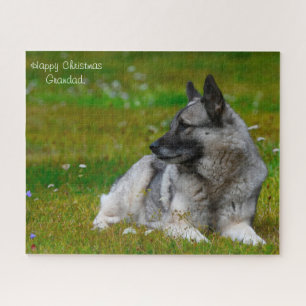Puzzle Chien Hound Elan.