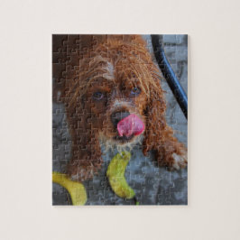 Puzzle Chien humide avec banane