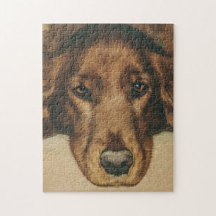Puzzle Chien irlandais d'or observé par brun