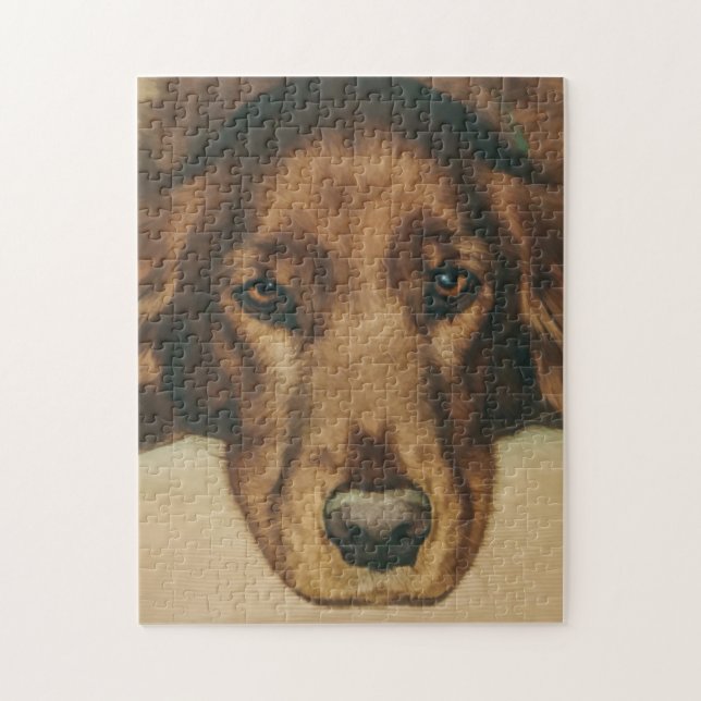 Puzzle Chien irlandais d'or observé par brun (Vertical)
