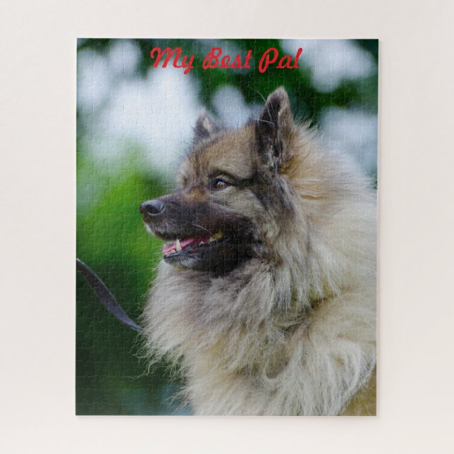 Puzzle Chien Keeshond. (Vertical)