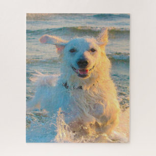 Puzzle Chien Kuvasz.