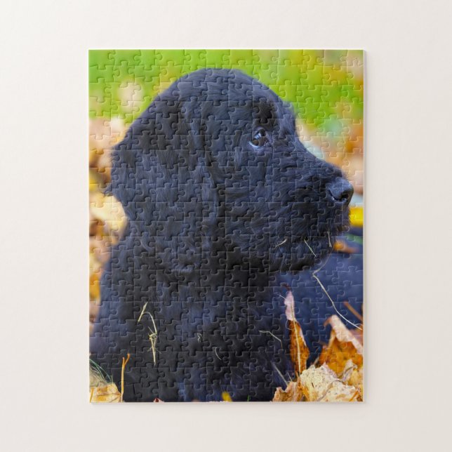 Puzzle Chien Labradoodle. (Vertical)