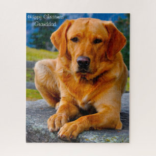 Puzzle Chien Labrador.