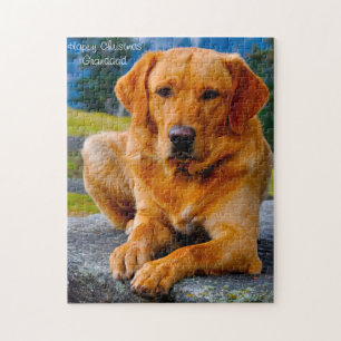 Puzzle Chien Labrador.