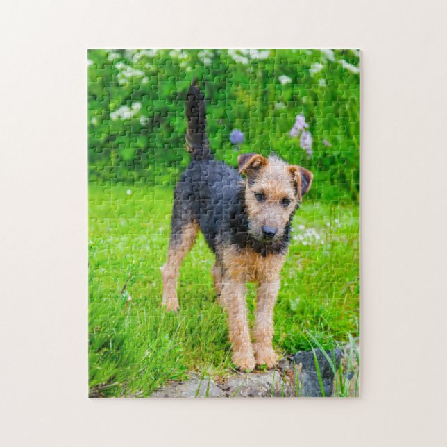 Puzzle Chien Lakeland Terrier. (Vertical)