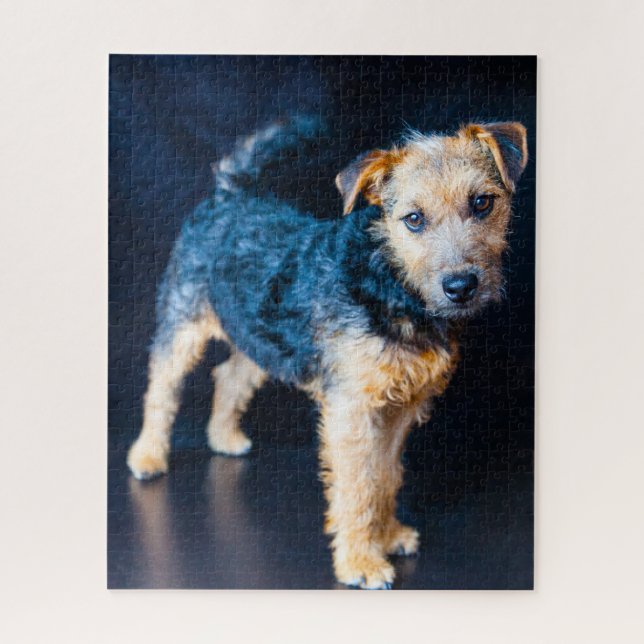 Puzzle Chien Lakeland Terrier. (Vertical)