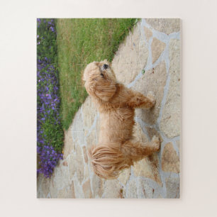 Puzzle Chien Lhasa Apso dans un jardin