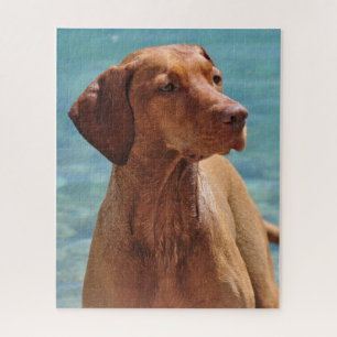 Puzzle Chien Magyar Vizsla