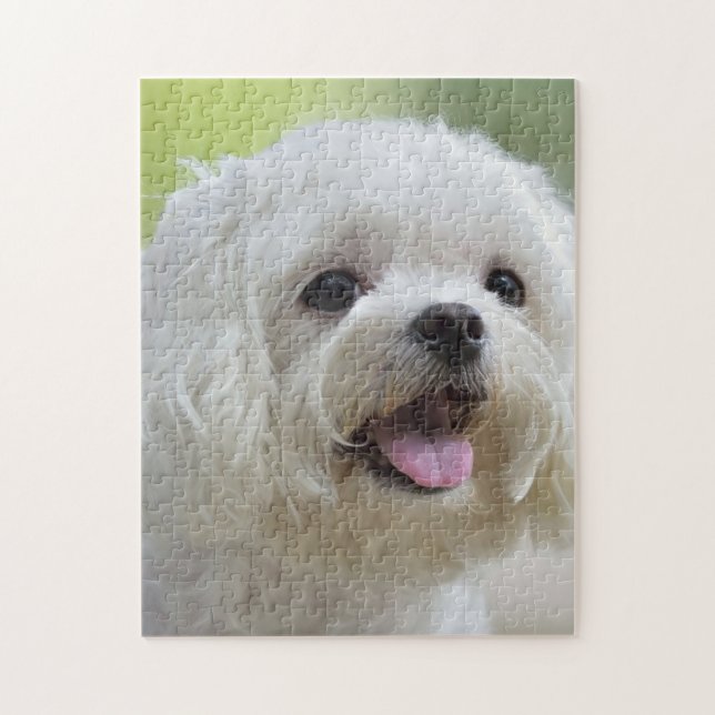 Puzzle Chien maltais blanc (Vertical)