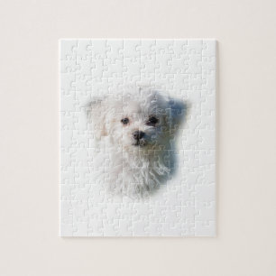 Puzzle Chien maltais mignon