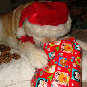 Puzzle Chien mignon portant un casquette rouge pour noël