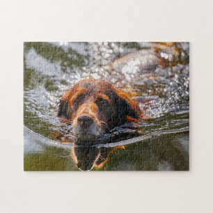 Puzzle Chien Munsterlander.