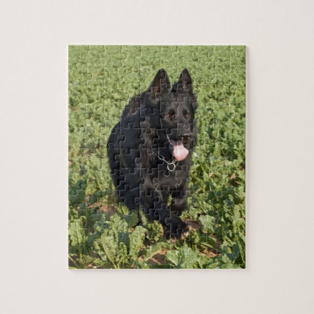 Puzzle Chien noir (Vertical)